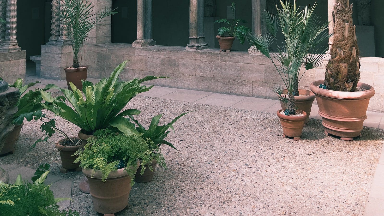 Met Museum Teachers Discount Club