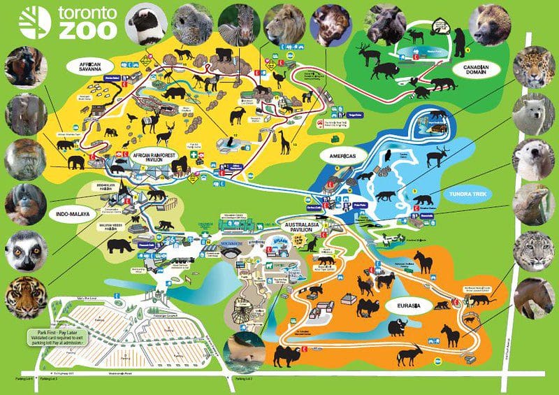 Toronto Zoo