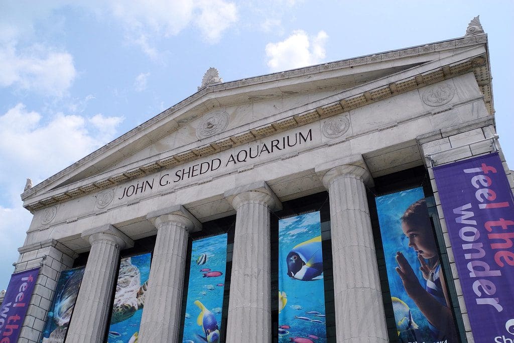 Shedd Aquarium Teacher's Discount Club