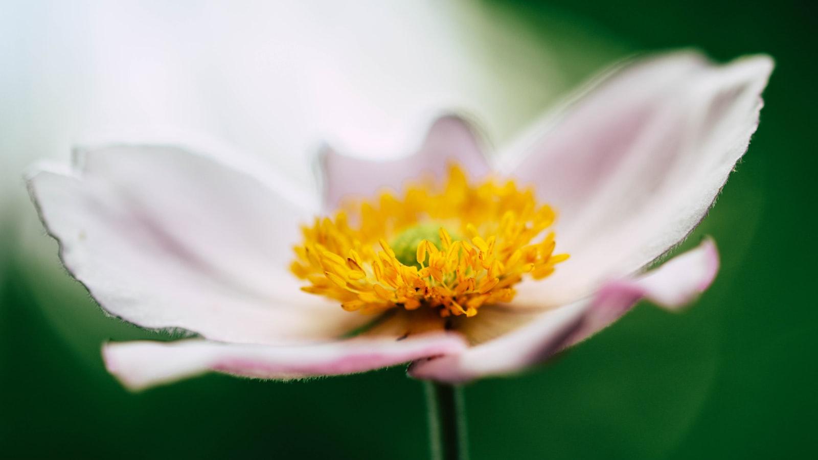 Morrisons Teachers Discount Club