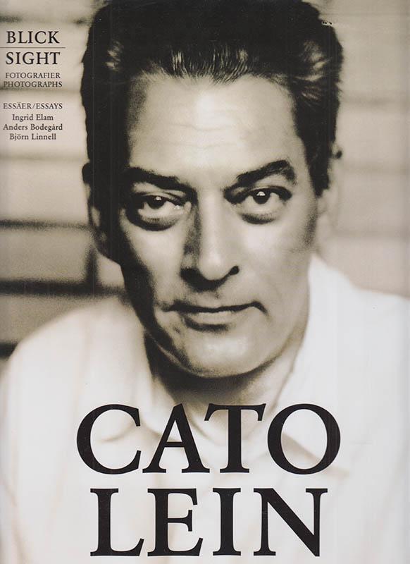 TRANSLATE BLICK visual data 3